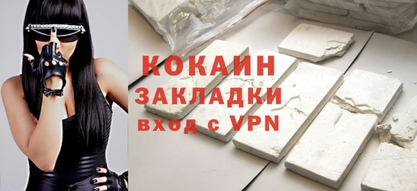 крисы Магас