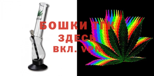крисы Магас