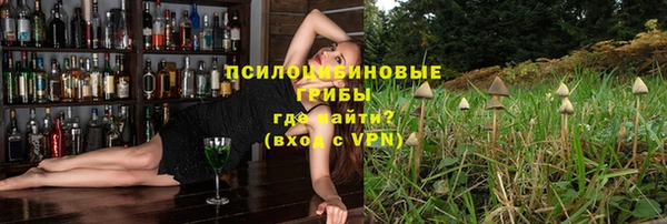 крисы Магас