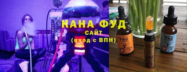 индика Зеленодольск