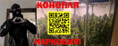 трава Гай