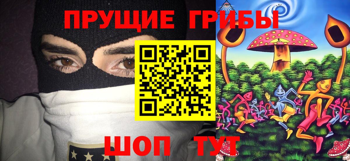 купить наркотики цена  Барабинск  Псилоцибиновые грибы Psilocybe 